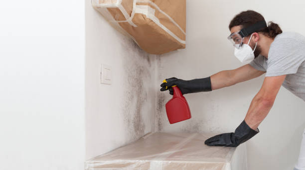 Professional Basement Mold Remediation technician working in Highland, NY