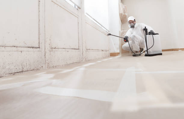 24/7 Emergency Basement Mold Remediation experts in Highland, NY